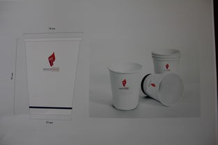 校園文化產(chǎn)品開(kāi)發(fā)中的廣告策劃與設(shè)計(jì)賞析